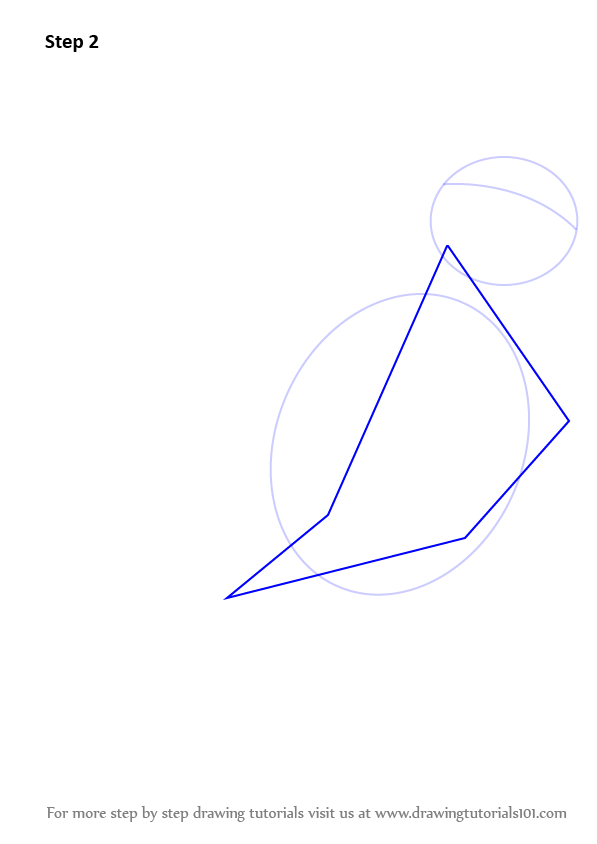 597x844 learn how to draw a budgie aka budgerigar