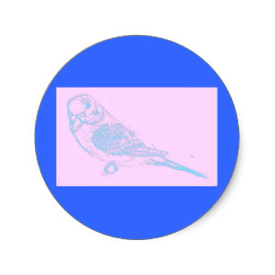 307x307 pink and blue budgie gifts on zazzle ca