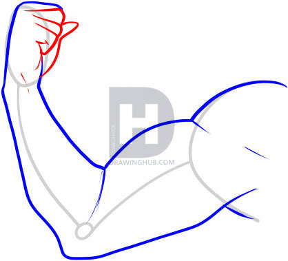 418x379 How To Draw A Muscle, Step