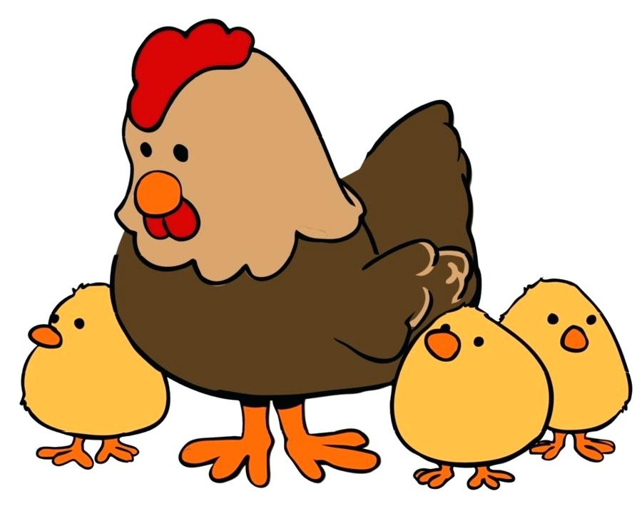 900x720 Drawing Chickens Hen Drawing