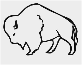 340x270 Buffalo Coloring