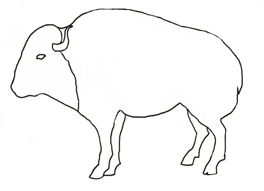 876x635 Draw A Buffalo Art Class Ideas