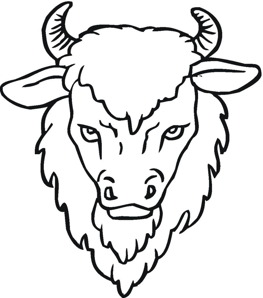 907x1030 Buffalo Drawing Sheet For Free Download