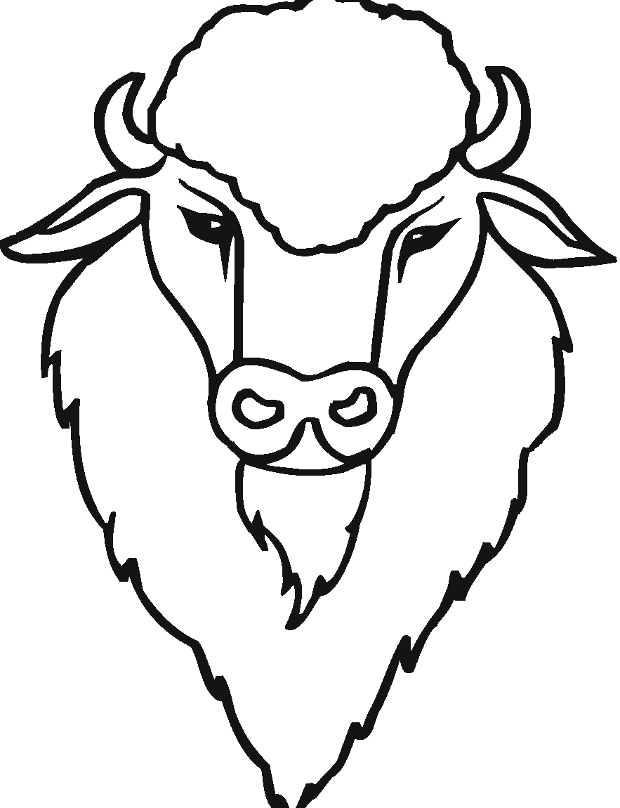 883x1150 Buffalo Drawing Basic For Free Download