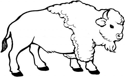 480x298 Halloween Coloring Pages Animal Coloring To Print Buffalo