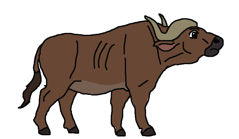764x444 Cape Buffalo Character Drawing