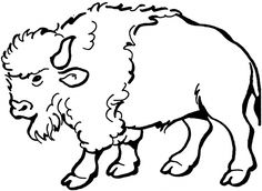 236x172 best buffalo and bison sketches images bison tattoo, buffalo