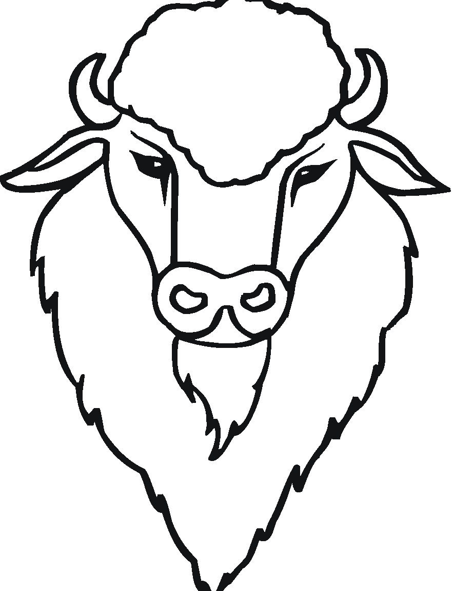 Buffalo Drawing Step By Step | Free download on ClipArtMag