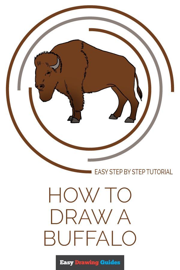 600x900 How To Draw A Buffalo