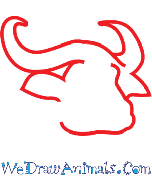 300x350 How To Draw An African Buffalo