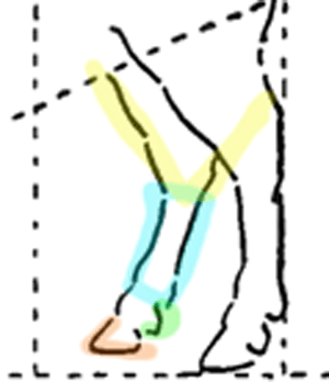 300x348 Step In Drawing Bison Buffalo
