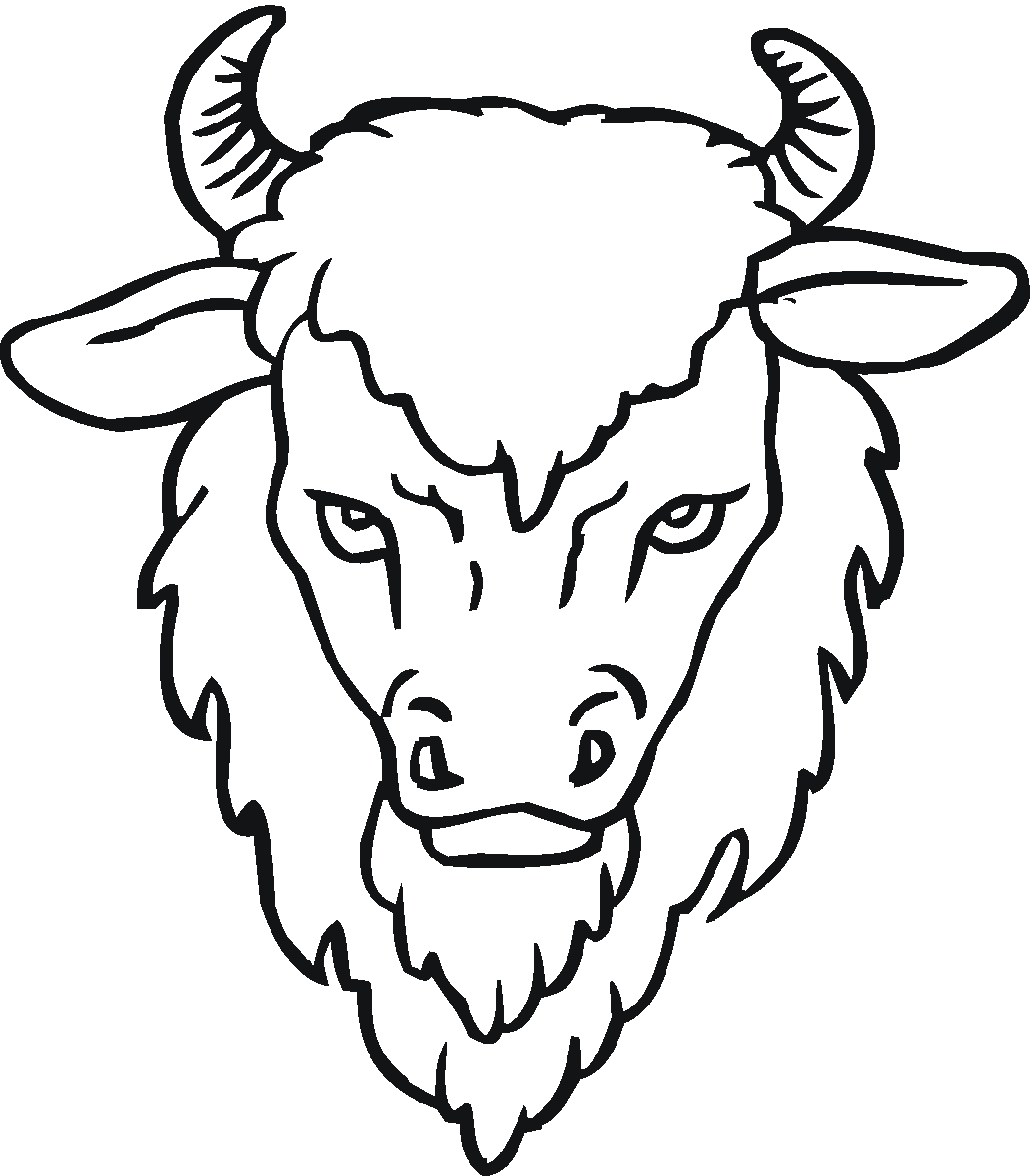 1057x1200 Buffalo Face Drawing
