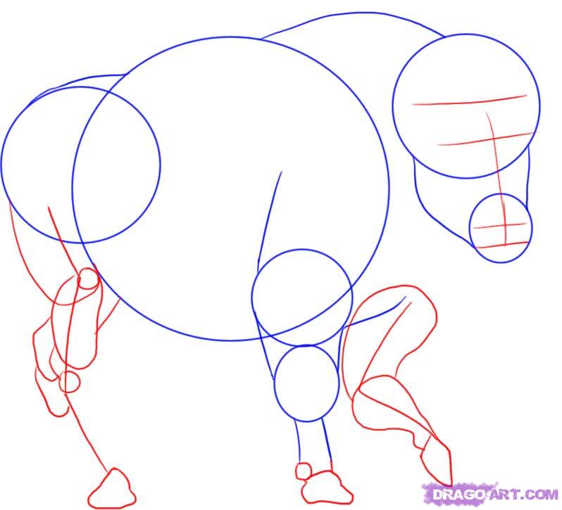798x725 Draw A Buffalo, Step