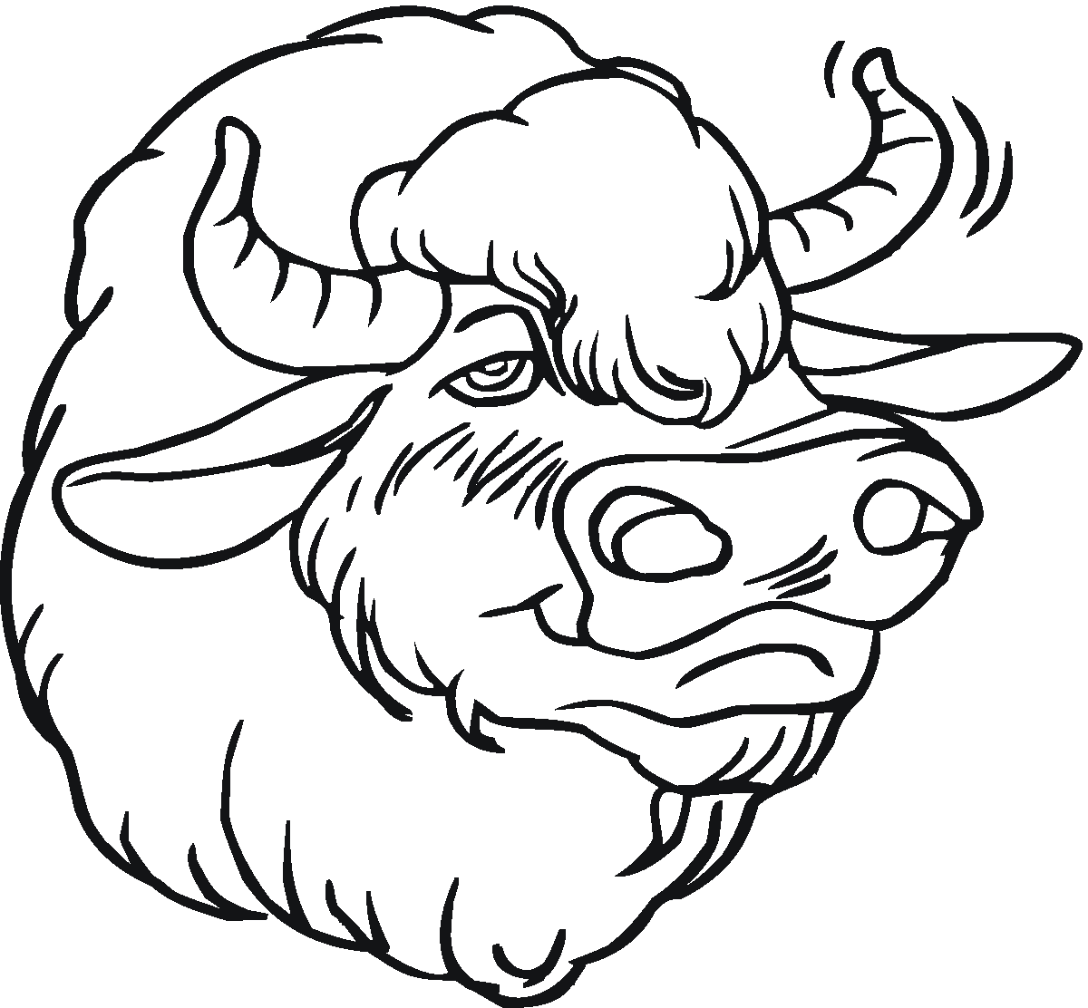 1200x1112 Free Buffalo And Bison Coloring Pages