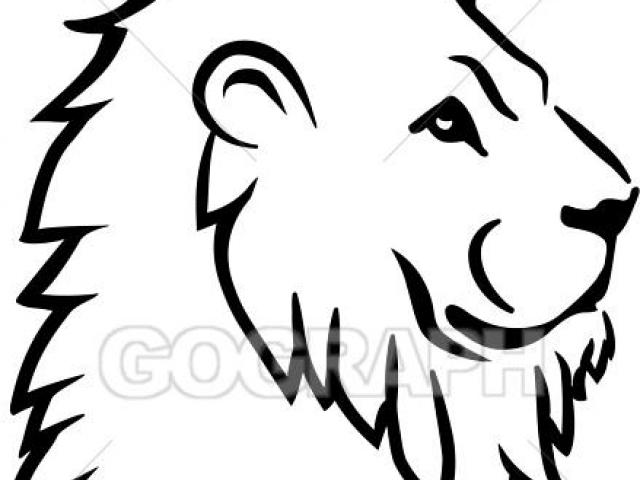 640x480 White Lion Clipart Buffalo Face
