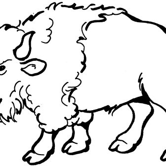 336x336 Buffalo Drawing Easy Wings Cartoon Head Black And White Native
