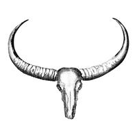 200x200 Buffalo Head Free Vector Art