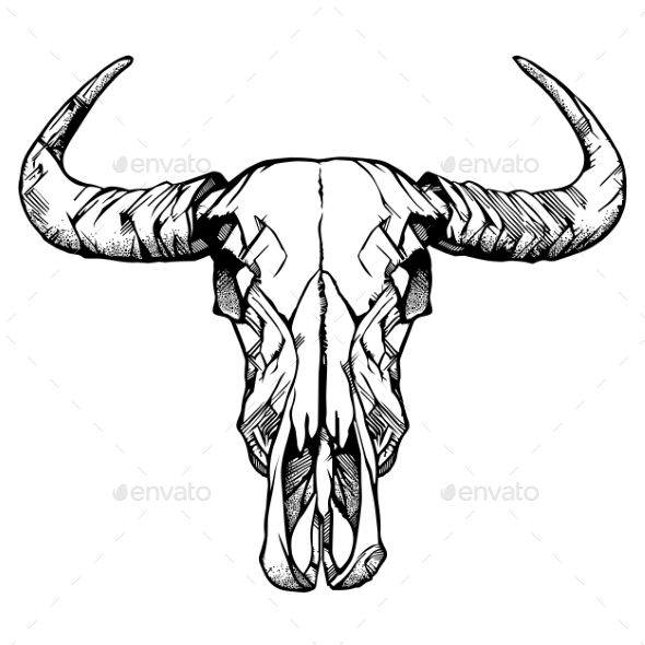 590x590 Buffalo Skull Hand Drawn Vector Illustration Tats Drawings