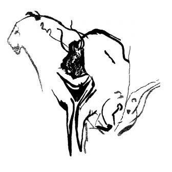 336x336 Cute Bison Drawing A Baby Head Step Line Cartoon Iydunetwork