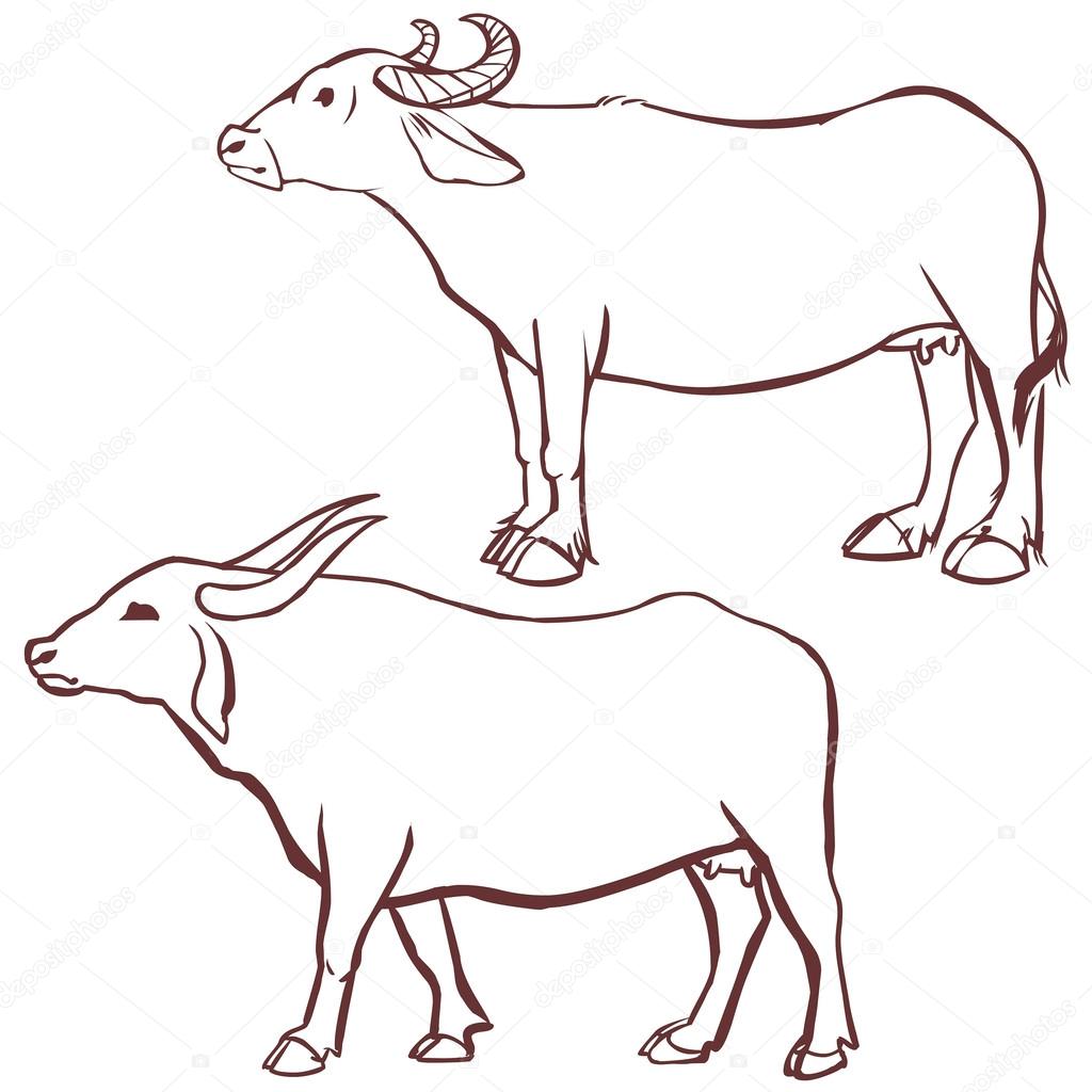 1024x1024 Huge Collection Of 'buffalo Outline Drawing' Download More Than