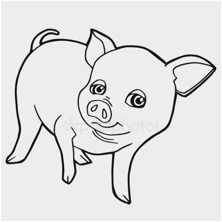 450x450 Buffalo Coloring