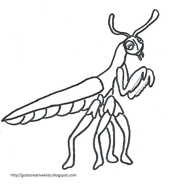 605x662 Cape Buffalo Skull Drawing