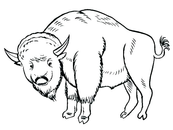 600x450 How To Draw Drawing The Buffalo Bills Logo Coloring Pages For Kids