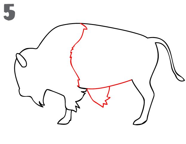 623x485 Step Draw In The Body Detail Using A Vertical Line And Add