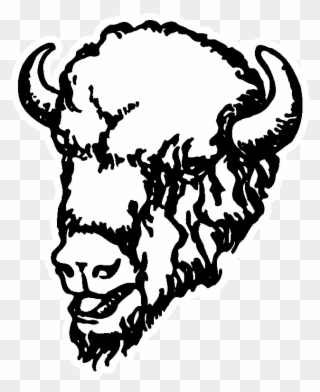 320x392 Buffalo