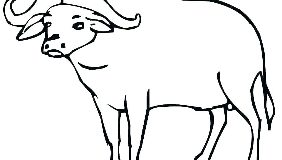 960x544 Buffalo Coloring
