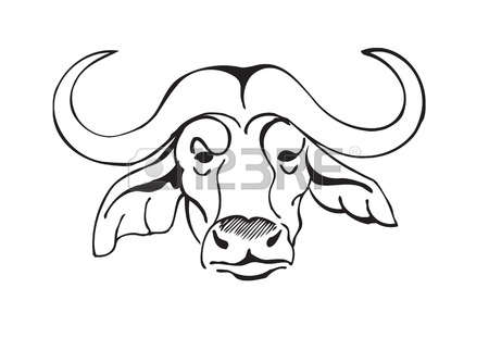 450x311 Buffalo Head Clipart Black And White