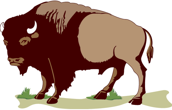 576x368 buffalo clipart outline, buffalo outline transparent free