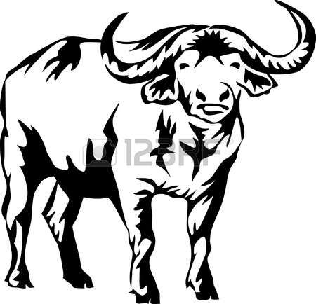 450x434 African Buffalo Clipart Drawing
