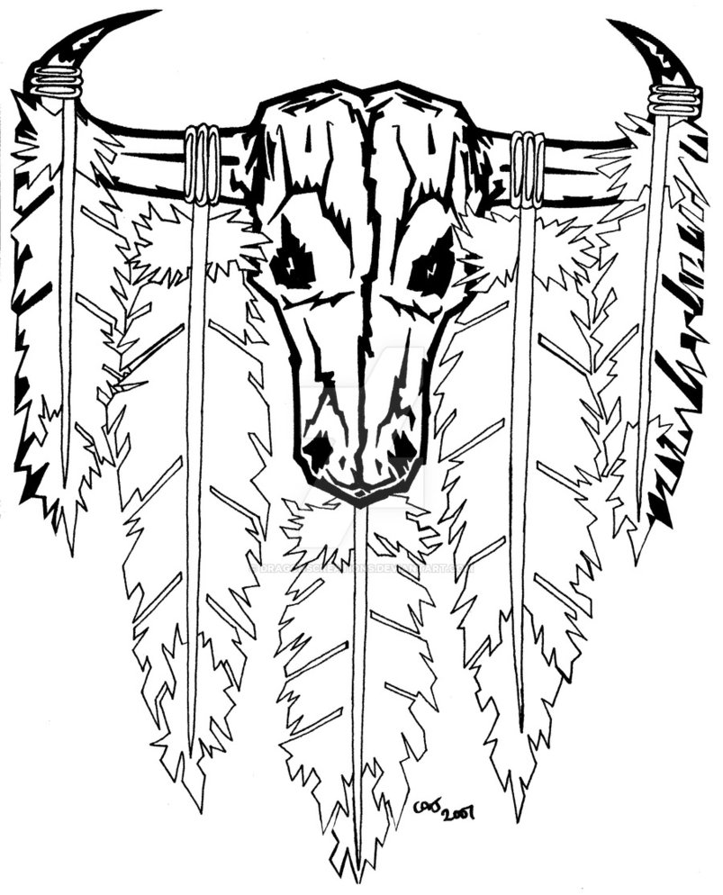 803x994 Buffalo Skull