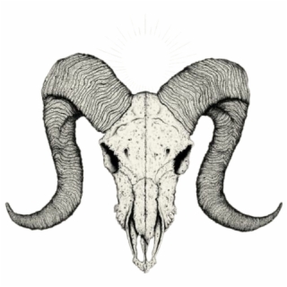 320x320 Hd Animal Horn Png