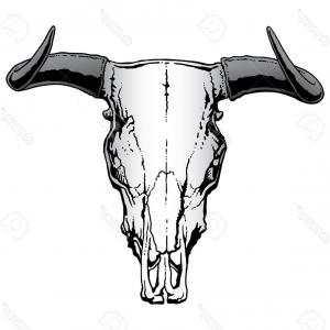 300x300 Photostock Vector Vintage Buffalo Skull Vector Sketch Bull Animal