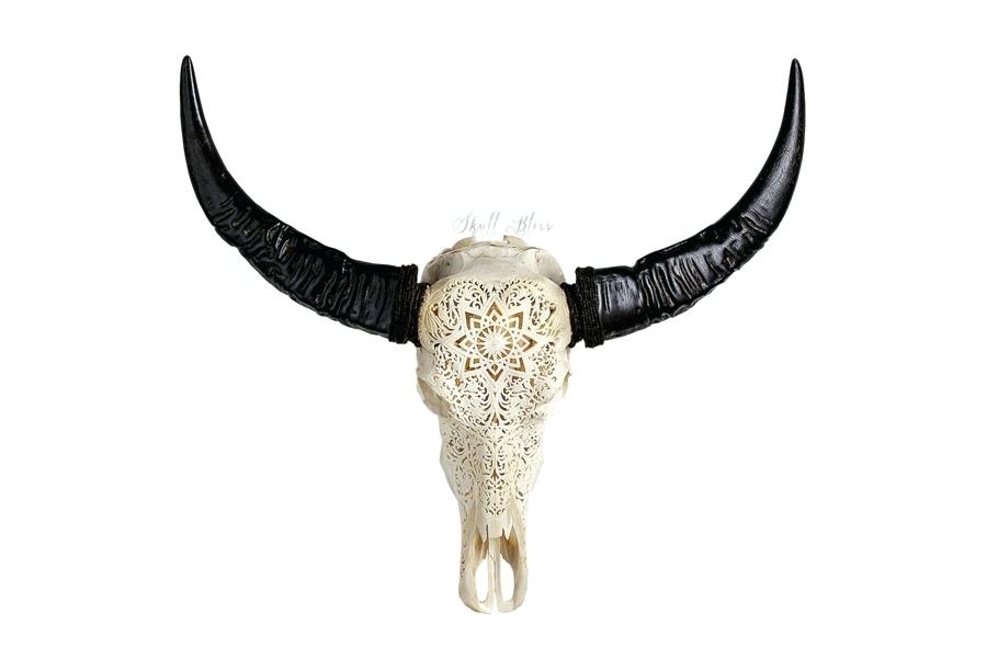 900x600 Buffalo Skull Bull Hand Carved Water Floral Design Drawing Actoc