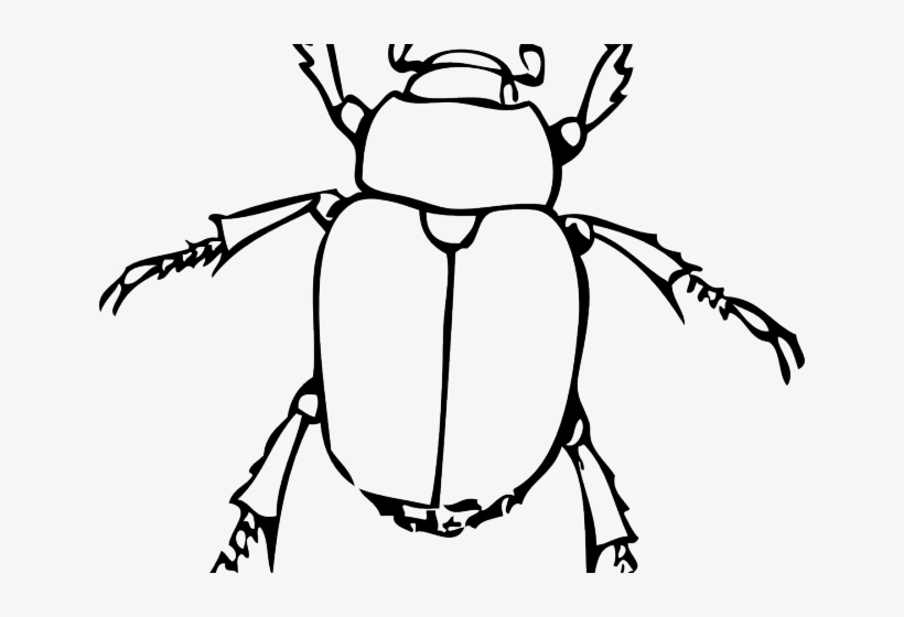 820x560 Drawn Bugs Black And White