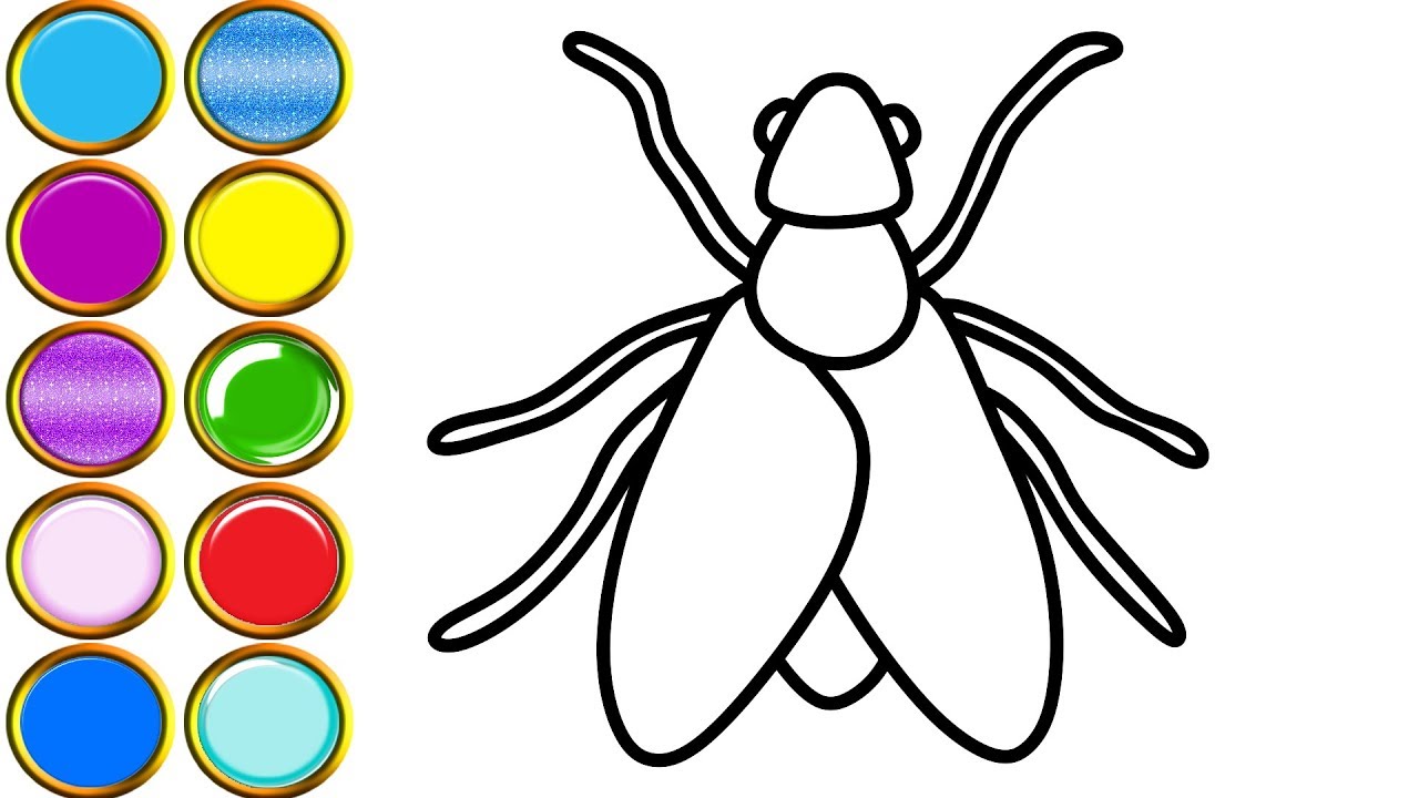 1280x720 Fly Bug Drawing Insect Coloring Pages For Kids, Toddlers Mirza