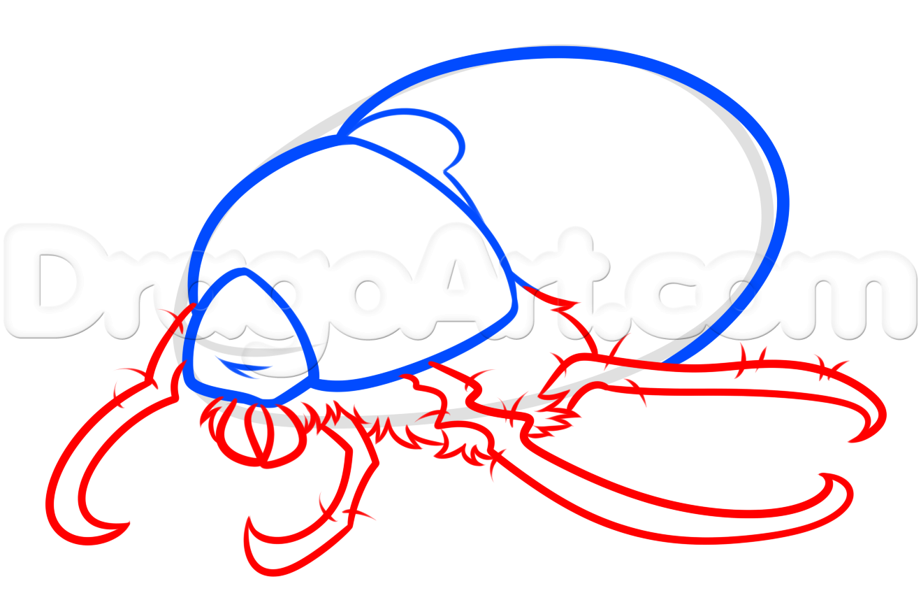 1318x858 June Bug Drawing Lesson, Step