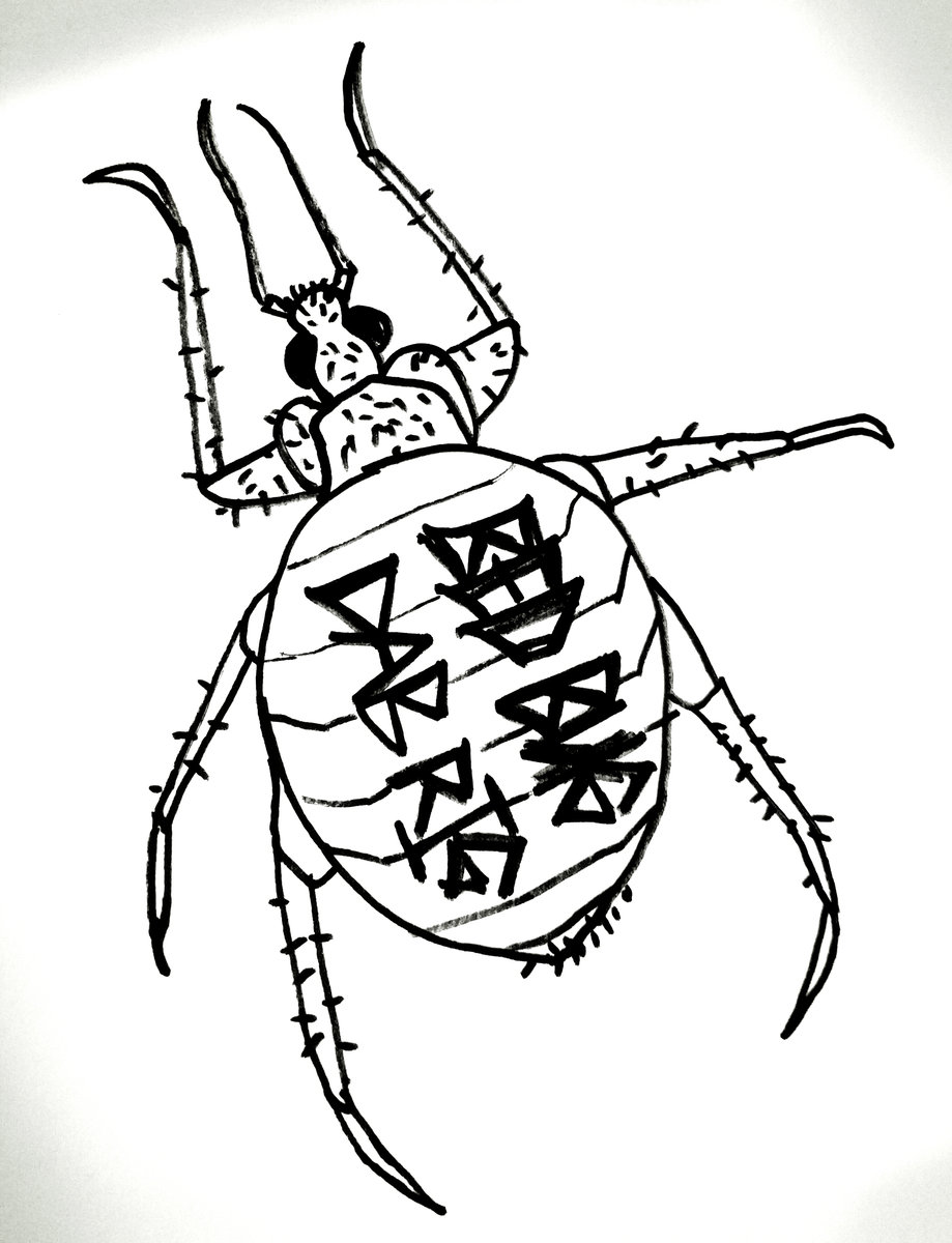 919x1200 bug drawing bed bug for free download