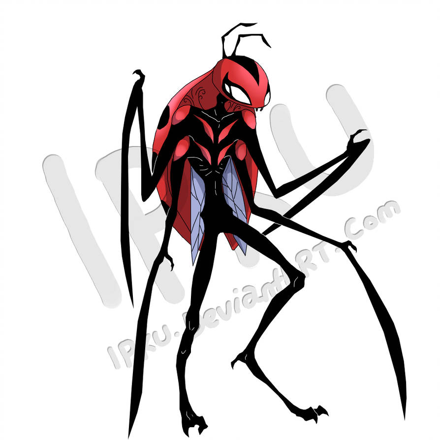 894x894 buggy situation