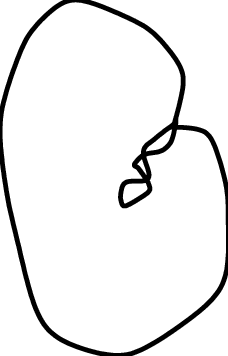 228x356 Contracting Homothety For Enclosed And Not Enclosed Building