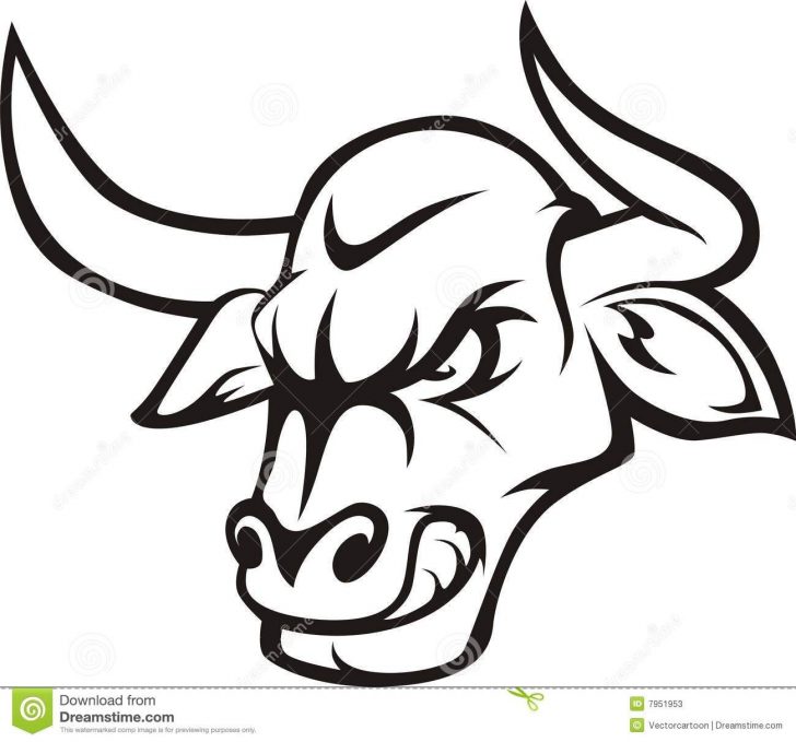 Bull Drawing