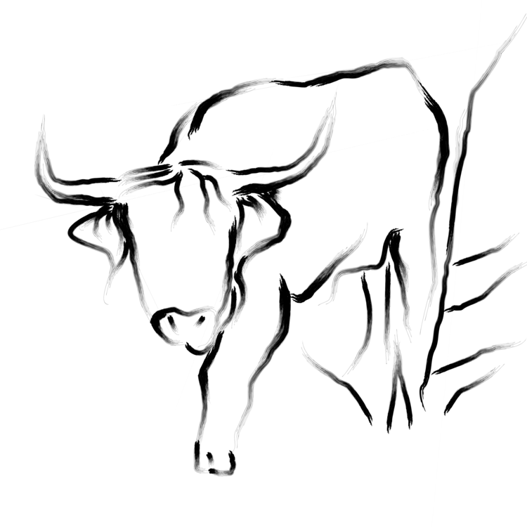 750x750 Bull Drawing Black And White Cattle Line Art Cc0