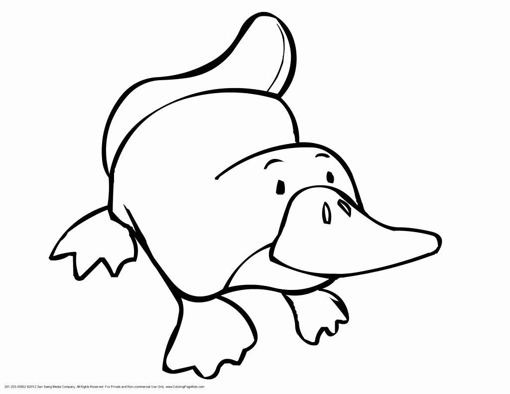 1024x791 Chicago Bulls Coloring Unique Photography Bull Coloring Pages
