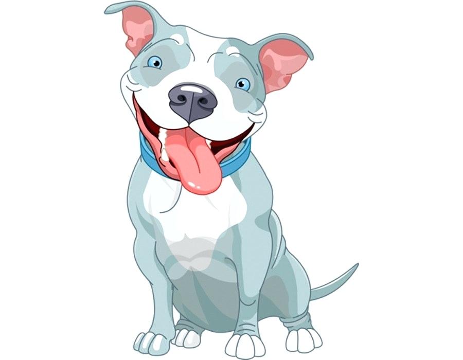 900x700 Pitbull Cartoon Drawing Pit Bull Terrier Puppy Cartoon Clip Art