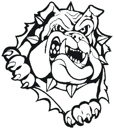 436x488 Bull Dog Drawings English Bulldog Drawing Easy