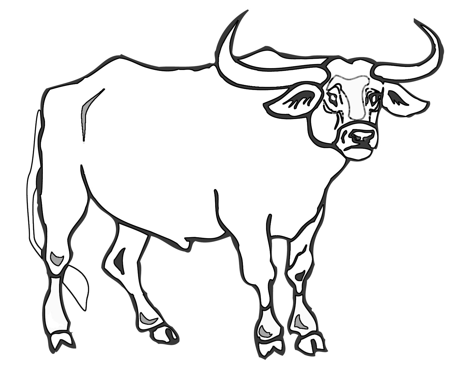 Collection of Bull clipart | Free download best Bull clipart on ...