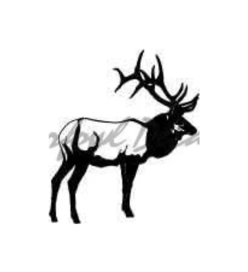 794x872 detailed bull elk decal elk decal etsy